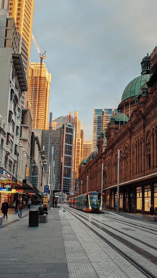 Weed in Sydney
