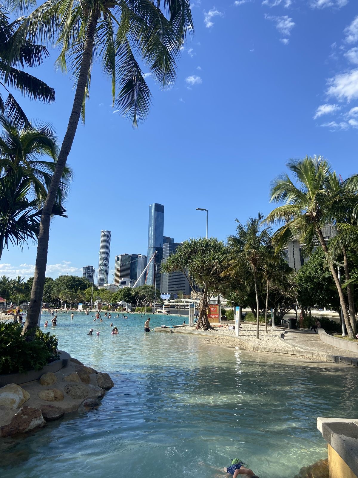 weed in south Bank Brisbane