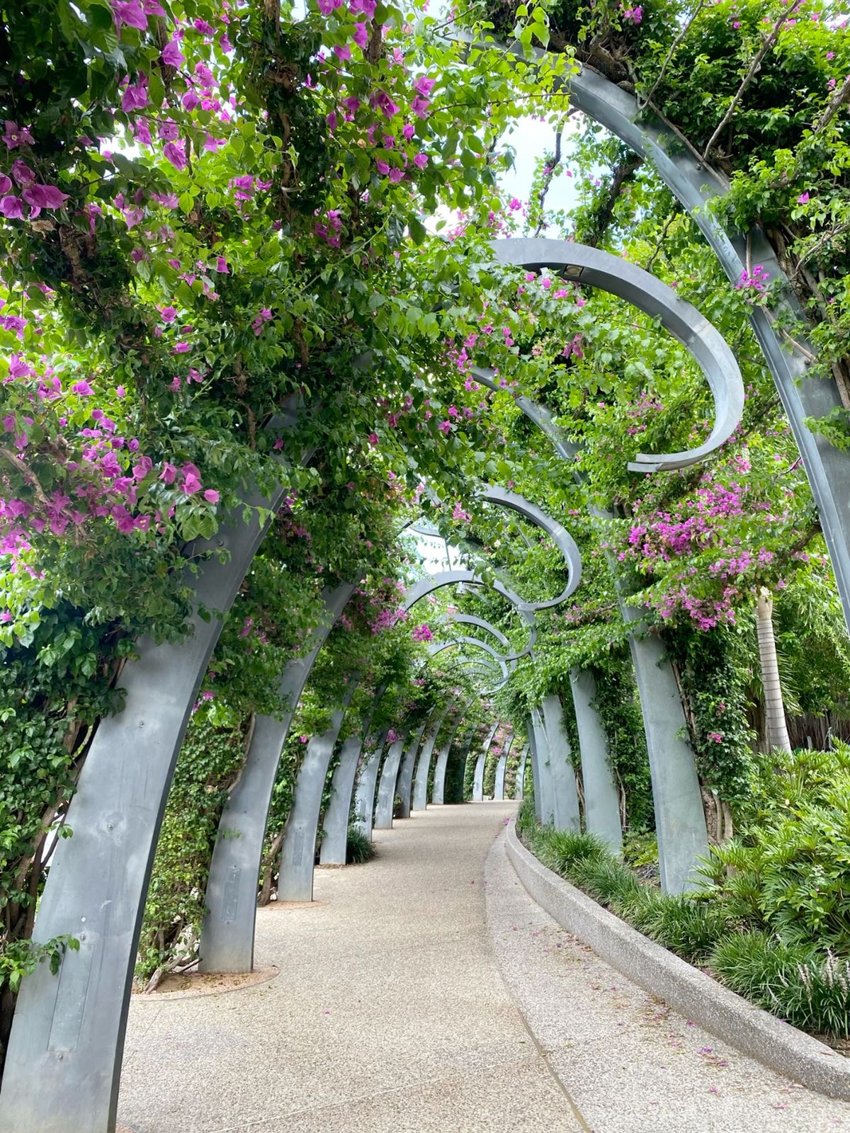 weed in Baku 2025 guide